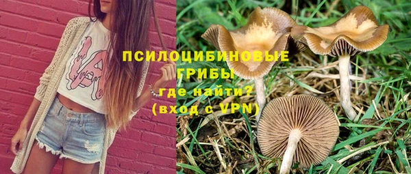 apvp Алексеевка